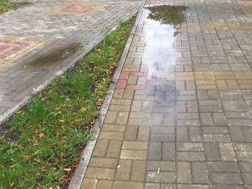 ТД Раздолье