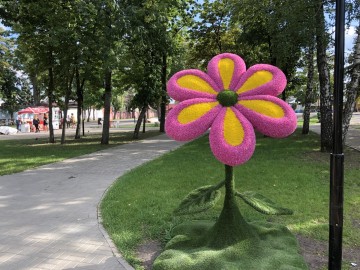 ТД Раздолье