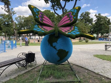 ТД Раздолье