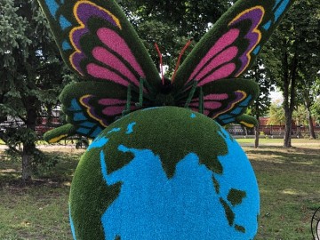 ТД Раздолье