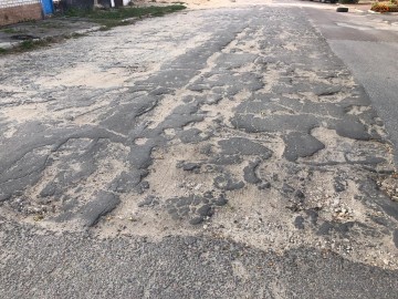 ТД Раздолье