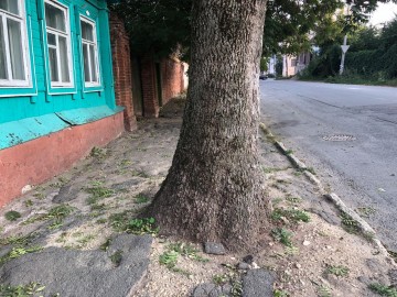 ТД Раздолье