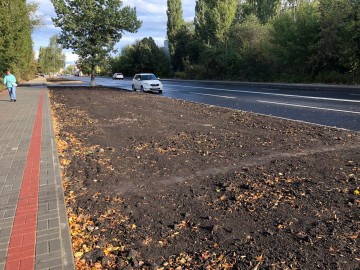 ТД Раздолье