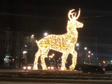 ТД Раздолье