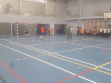 ТД Раздолье