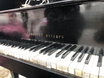 ТД Раздолье