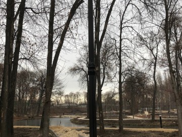 ТД Раздолье