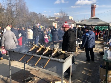 ТД Раздолье