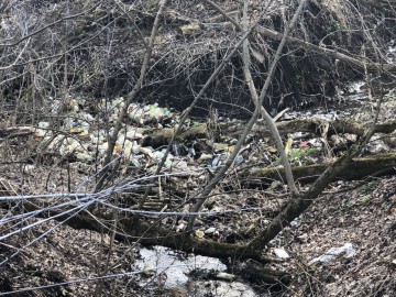 ТД Раздолье