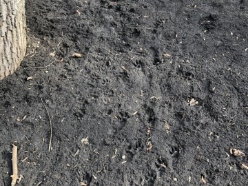 ТД Раздолье