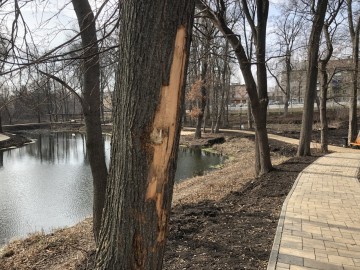 ТД Раздолье