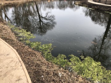 ТД Раздолье