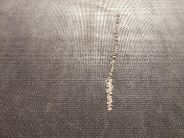 ТД Раздолье