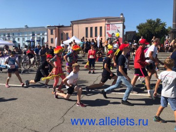 ТД Раздолье