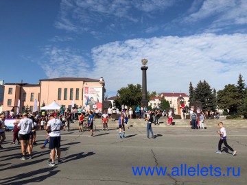 ТД Раздолье