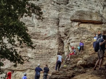 ТД Раздолье