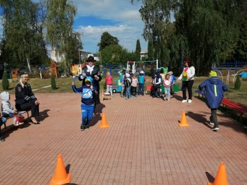 ТД Раздолье