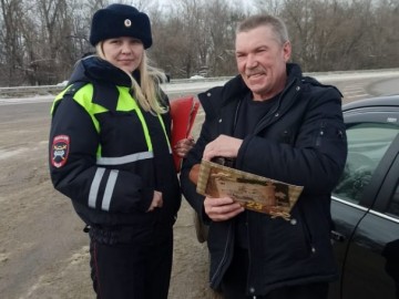 ТД Раздолье