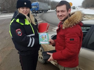 ТД Раздолье