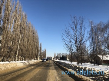 ТД Раздолье