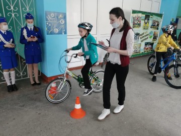 ТД Раздолье