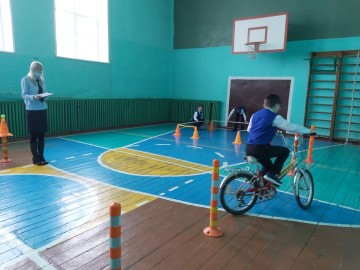 ТД Раздолье