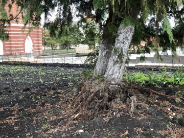 ТД Раздолье