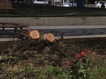 ТД Раздолье