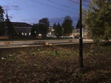 ТД Раздолье