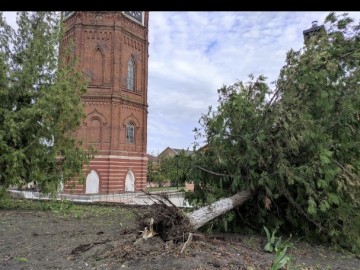 ТД Раздолье