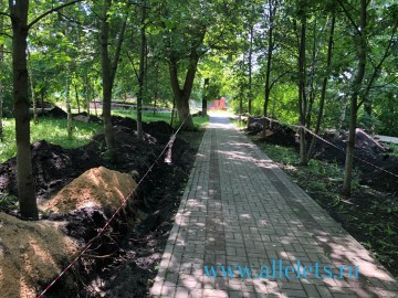 ТД Раздолье