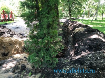 ТД Раздолье