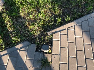 ТД Раздолье