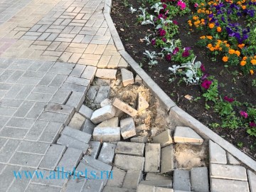 ТД Раздолье