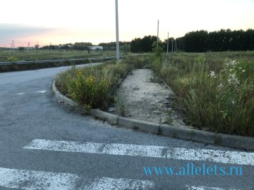 ТД Раздолье