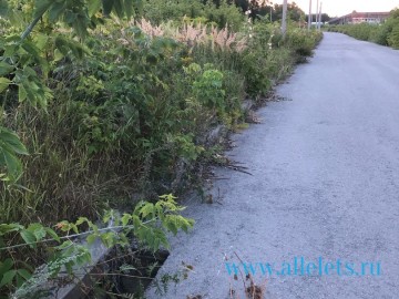 ТД Раздолье