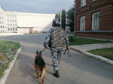 ТД Раздолье