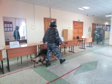 ТД Раздолье