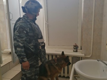 ТД Раздолье