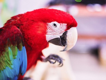 ТД Раздолье