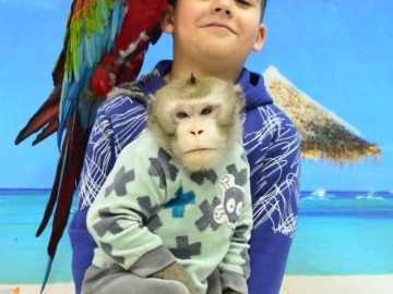 ТД Раздолье