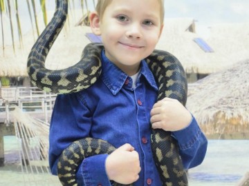 ТД Раздолье