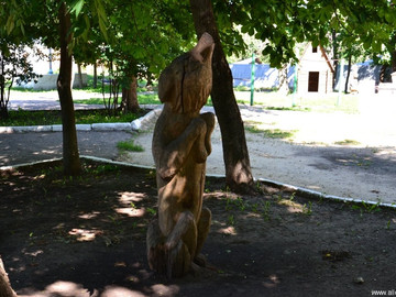 ТД Раздолье