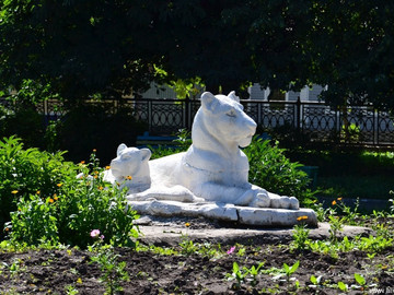 ТД Раздолье