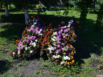 Городской парк