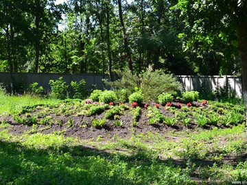 Городской парк