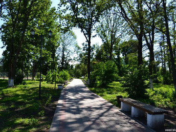 Городской парк