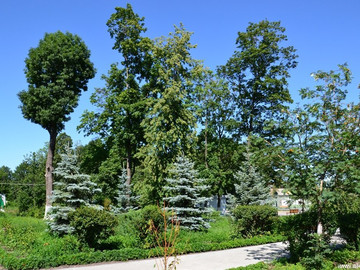 Городской парк