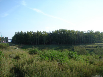 Парк Сорокалетия Октября