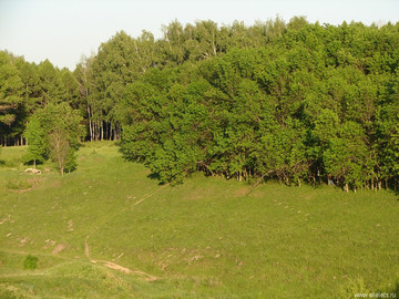 Парк Сорокалетия Октября